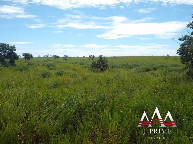 #1308 - Fazenda para Venda em Reserva do Cabaçal - MT - 2