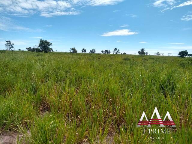 #1308 - Fazenda para Venda em Reserva do Cabaçal - MT - 3