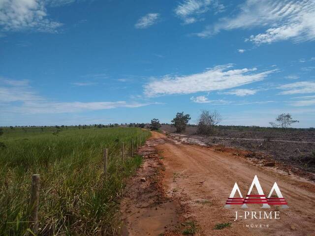 #1308 - Fazenda para Venda em Reserva do Cabaçal - MT - 1