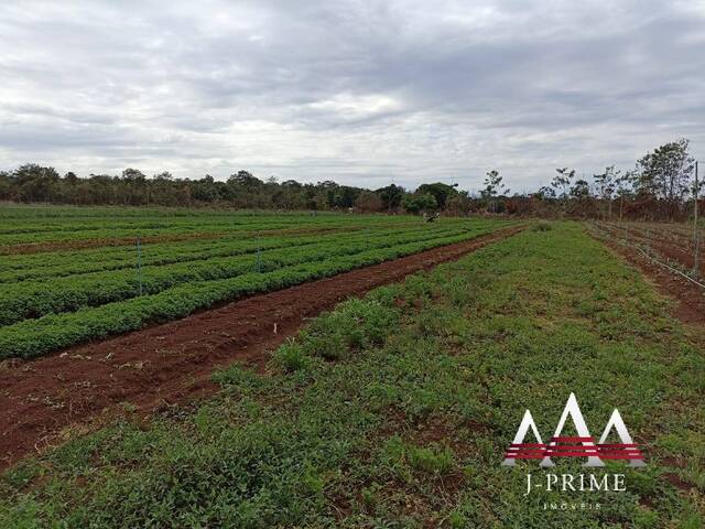 #1422 - Sítio para Venda em Campo Verde - MT - 1