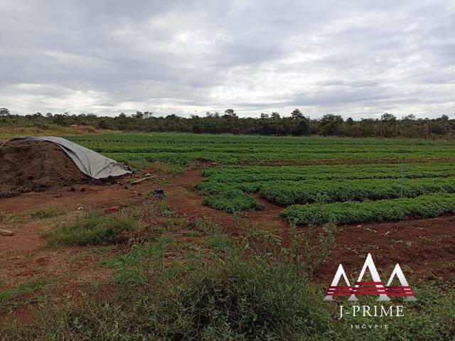 #1422 - Sítio para Venda em Campo Verde - MT - 3