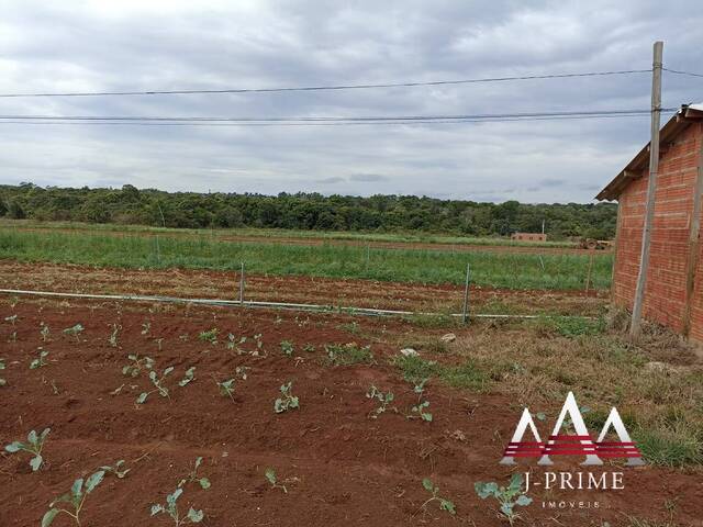 Sítio para Venda em Campo Verde - 5