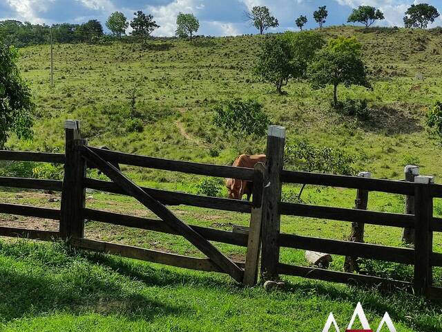 #1606 - Fazenda para Venda em Poconé - MT - 1