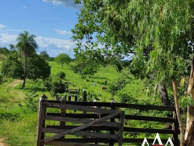 #1606 - Fazenda para Venda em Poconé - MT - 2