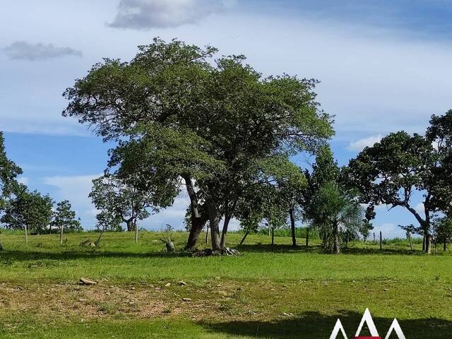 #1606 - Fazenda para Venda em Poconé - MT - 3