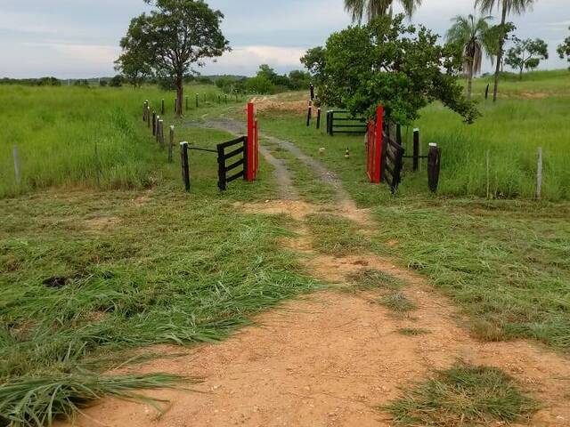 Fazenda para Venda em Poconé - 4