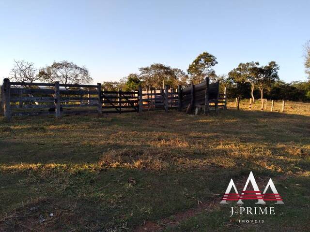 Sítio para Venda em Campo Verde - 4