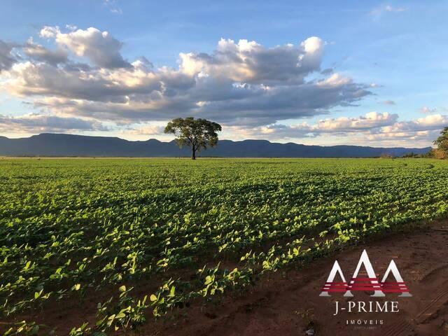 #809 - Fazenda para Venda em Jangada - MT - 1