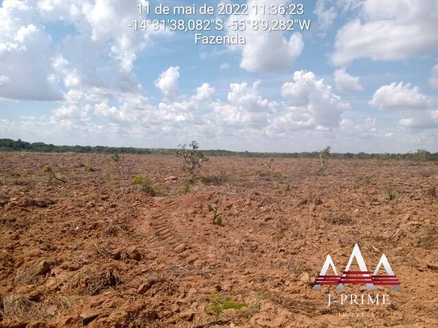 #1778 - Fazenda para Venda em Nova Brasilândia - MT - 2