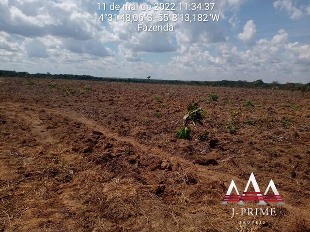 #1778 - Fazenda para Venda em Nova Brasilândia - MT - 3