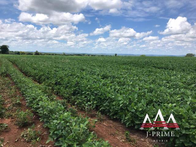 #1780 - Fazenda para Venda em Campinápolis - MT