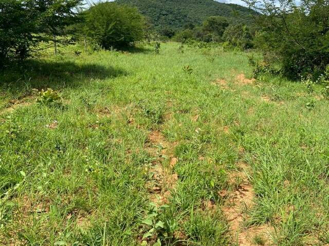 #1776 - Fazenda para Venda em Taipas do Tocantins - TO - 1