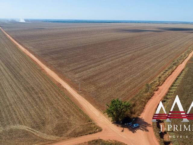 #1784 - Fazenda para Venda em Campo Novo do Parecis - MT - 1