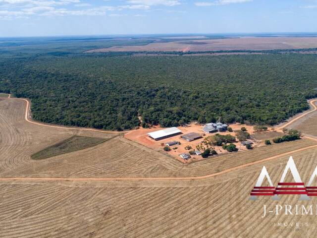 #1784 - Fazenda para Venda em Campo Novo do Parecis - MT - 3