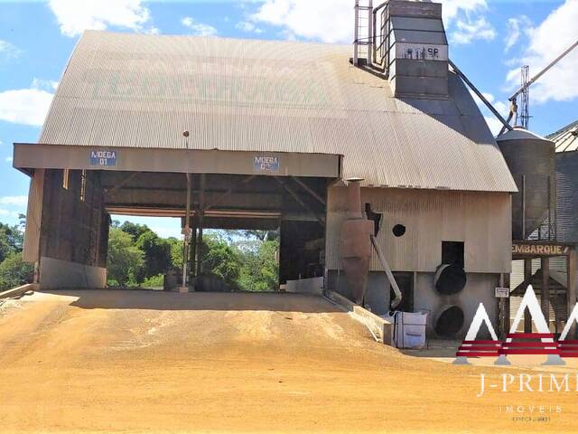 Fazenda para Venda em Campo Novo do Parecis - 5