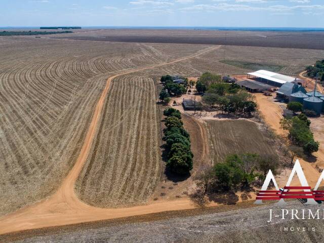 #1784 - Fazenda para Venda em Campo Novo do Parecis - MT - 2