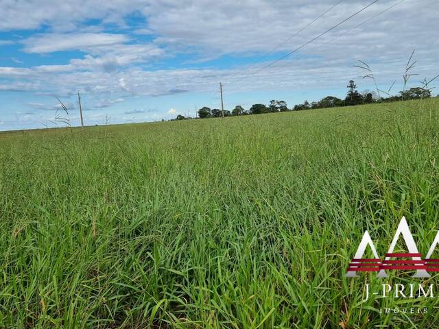 #1231 - Fazenda para Venda em Paranatinga - MT - 1