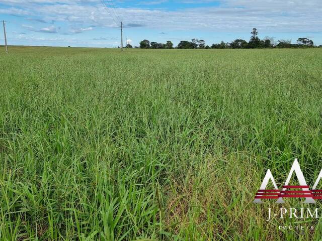 #1231 - Fazenda para Venda em Paranatinga - MT - 2