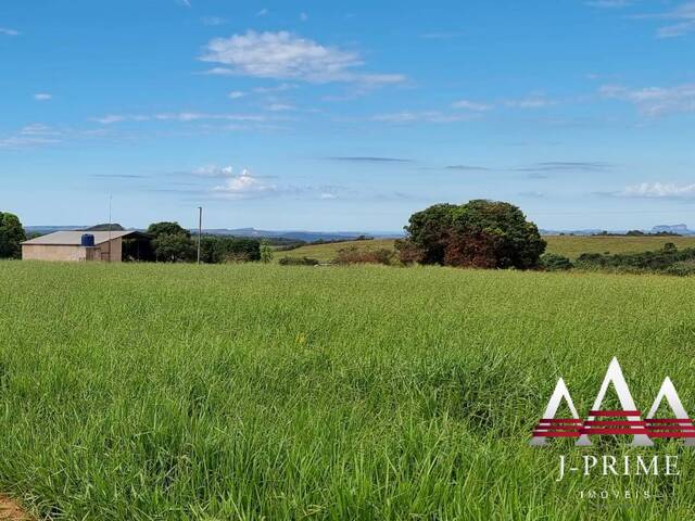 #1231 - Fazenda para Venda em Paranatinga - MT - 3