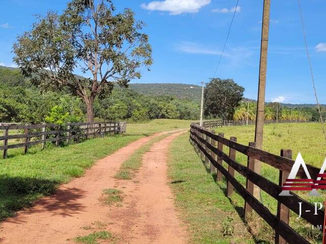 #1825 - Fazenda para Venda em Santo Antônio do Leverger - MT - 2