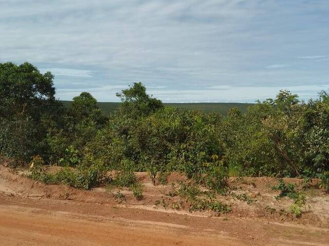 #1833 - Área para Venda em Reserva do Cabaçal - MT - 1