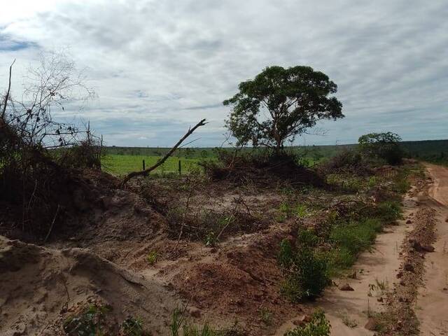 #1833 - Área para Venda em Reserva do Cabaçal - MT - 2