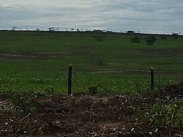 #1833 - Área para Venda em Reserva do Cabaçal - MT - 3