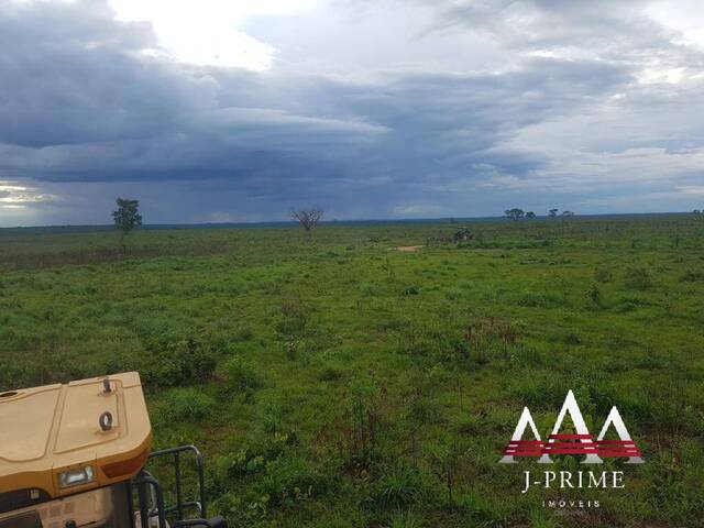 #1835 - Fazenda para Venda em Paranatinga - MT - 3