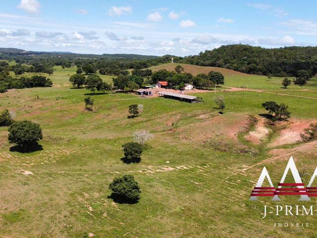 #1838 - Fazenda para Venda em Nova Xavantina - MT - 3