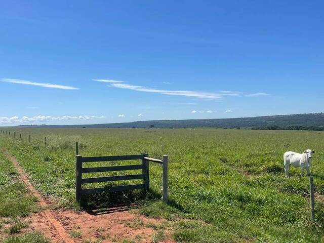 #1842 - Fazenda para Venda em Rondonópolis - MT - 1