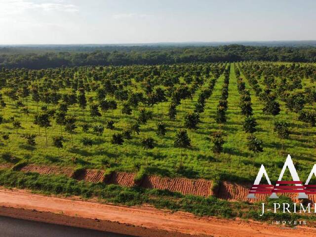 #1875 - Fazenda para Venda em Sorriso - MT - 2