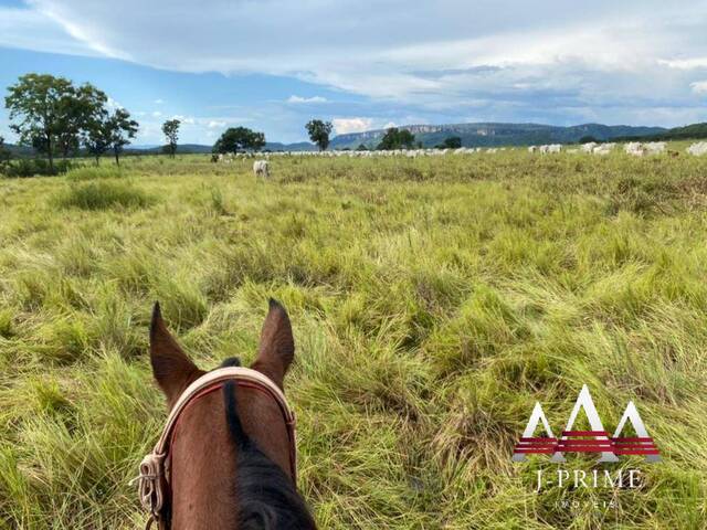 #1905 - Fazenda para Venda em Cuiabá - MT - 3