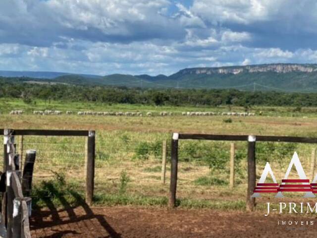 Fazenda para Venda em Cuiabá - 4