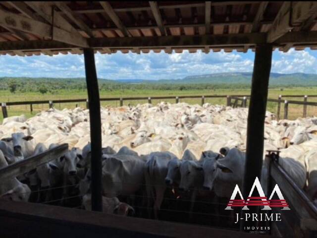 Fazenda para Venda em Cuiabá - 5