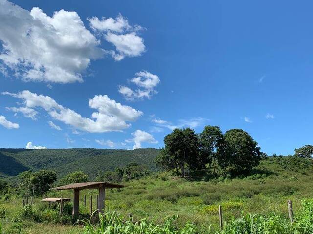 #1906 - Fazenda para Venda em Cuiabá - MT - 2