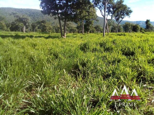 #1906 - Fazenda para Venda em Cuiabá - MT - 1