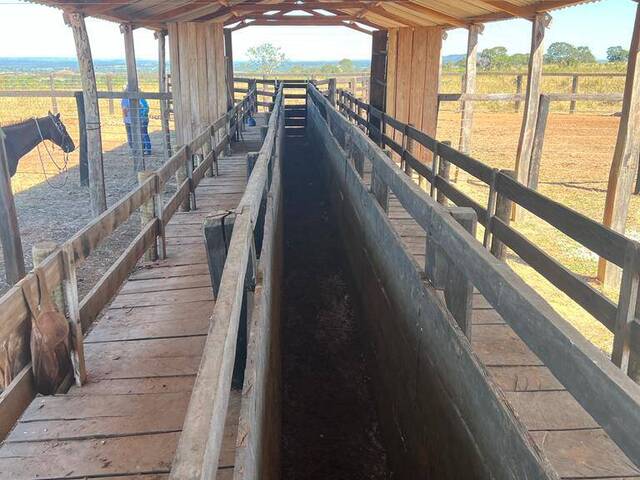 #1907 - Fazenda para Venda em Barra do Garças - MT - 1