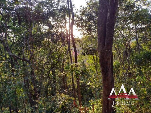 Venda em Zona Rural - Chapada dos Guimarães