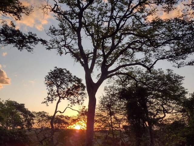 #1934 - Terreno para Venda em Chapada dos Guimarães - MT - 2