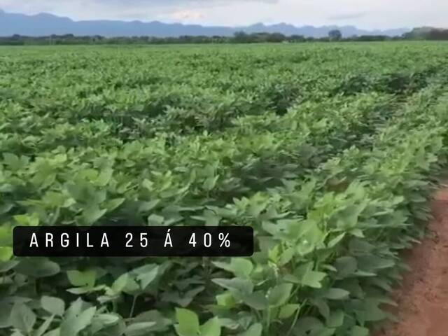 Fazenda para Venda em Jangada - 4