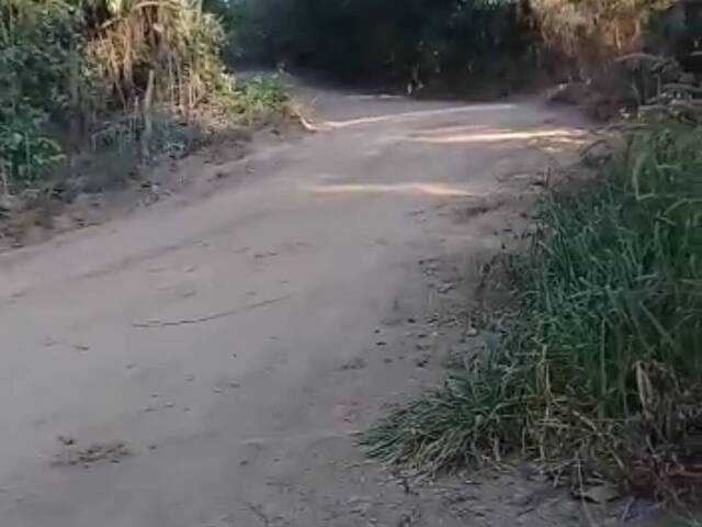 Sítio para Venda em Nobres - 5