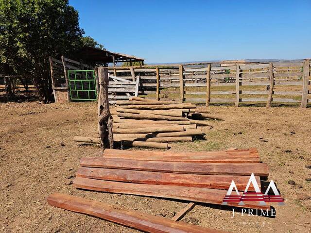 #1953 - Fazenda para Venda em Cuiabá - MT - 3