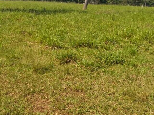 #1965 - Fazenda para Venda em Cuiabá - MT - 2