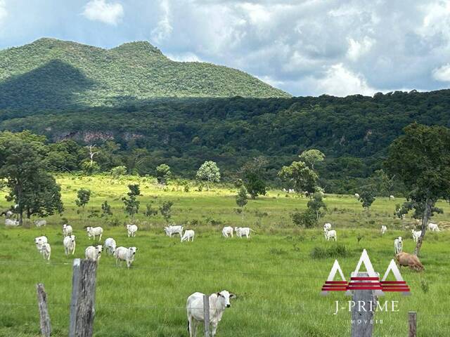 #1989 - Fazenda para Venda em Cuiabá - MT - 2