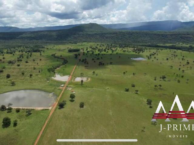 #1989 - Fazenda para Venda em Cuiabá - MT - 3