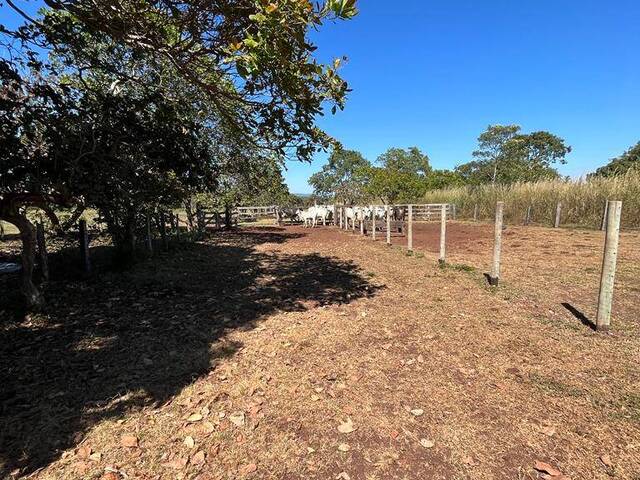 Venda em Zona Rural - Rosário Oeste