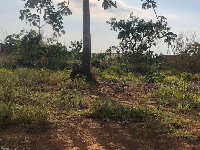 Terreno para Venda em Chapada dos Guimarães - 4