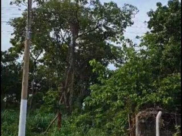 Terreno para Venda em Cuiabá - 4