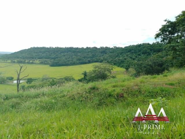 #2105 - Chácara para Venda em Cuiabá - MT - 1