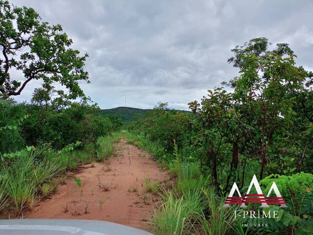 #1274 - Fazenda para Venda em Nova Brasilândia - MT - 1